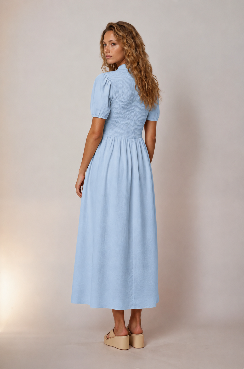 Jenna Smocked Collared Dress in Blue