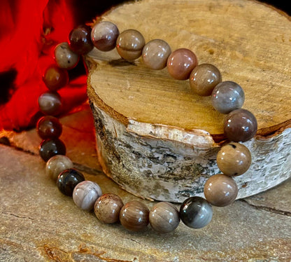 Petrified Wood Bracelet – 8mm Beads, Medium Wrists