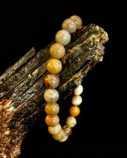 Petrified Wood Bracelet – 8mm Beads, Medium Wrists