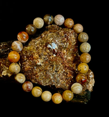 Petrified Wood Bracelet – 8mm Beads, Medium Wrists