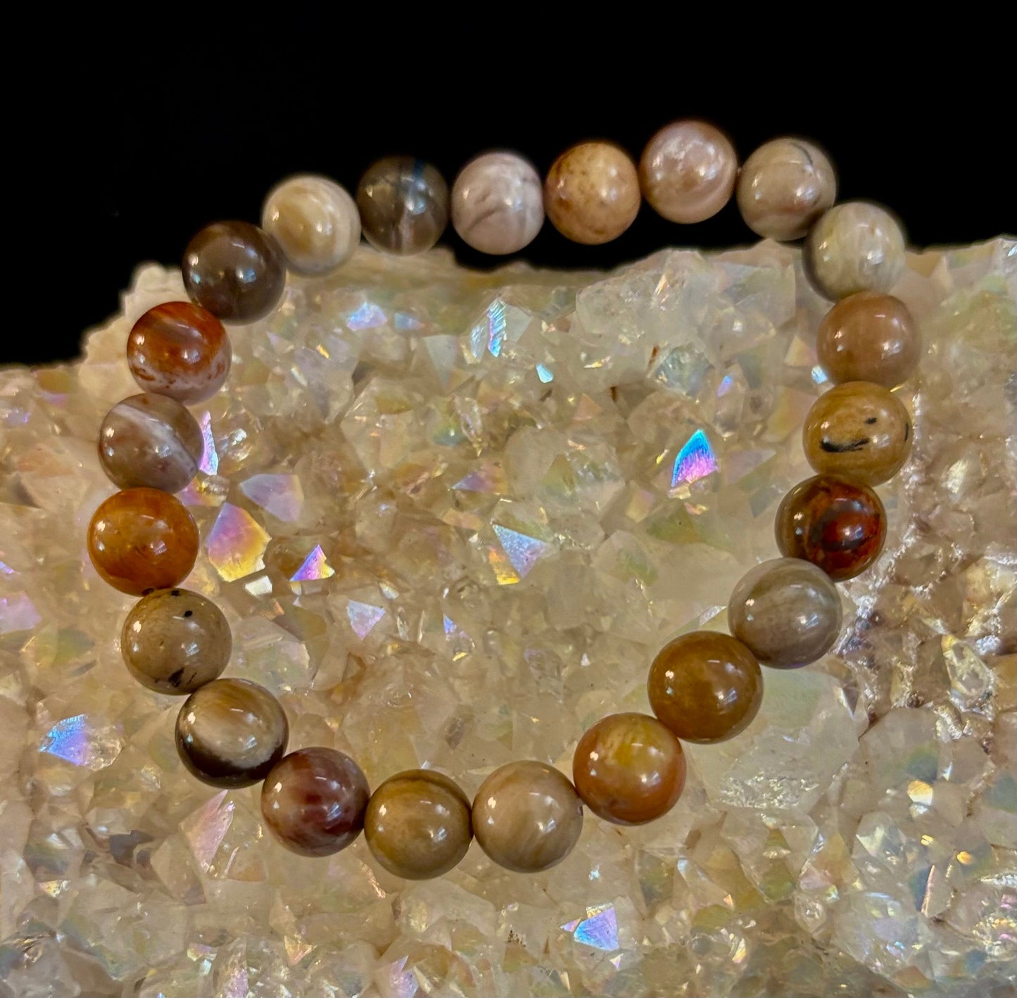 Petrified Wood Bracelet – 8mm Beads, Medium Wrists