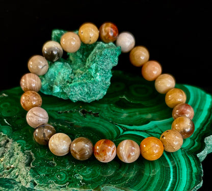 Petrified Wood Bracelet – 8mm Beads, Medium Wrists
