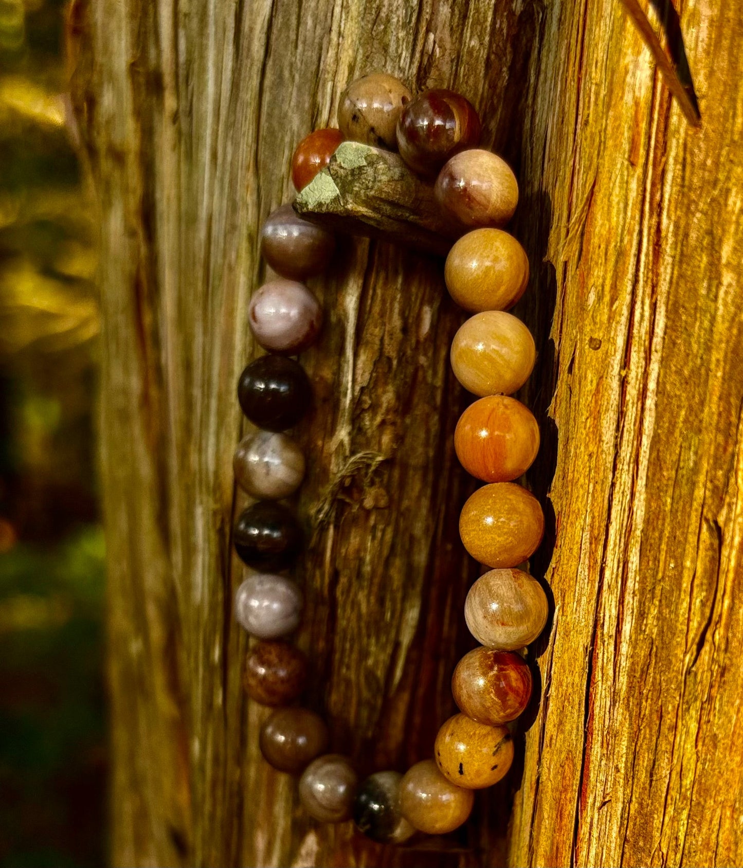 Petrified Wood Bracelet – 8mm Beads, Medium Wrists