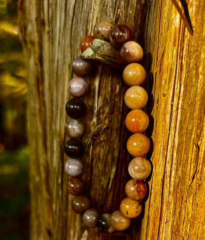 Petrified Wood Bracelet – 8mm Beads, Medium Wrists