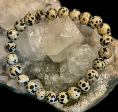 Dalmatian Jasper Gemstone Bracelet for Joy & Grounding | 8mm, 10mm, 12mm Beads