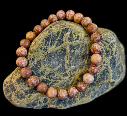 Fossil Coral Bracelet – Natural Grounding Stone for Stability & Calm