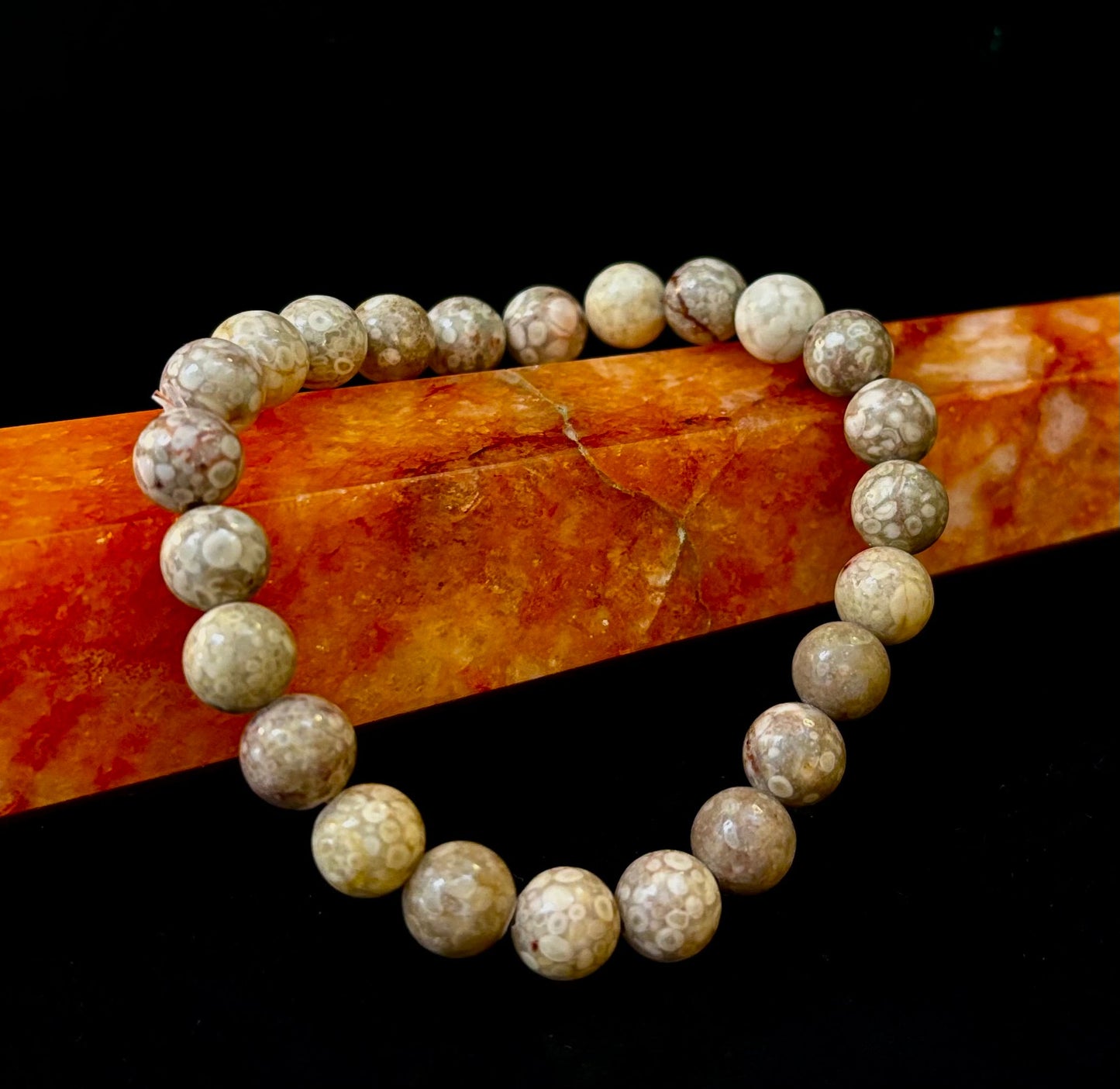 Fossil Coral Bracelet – Natural Grounding Stone for Stability & Calm