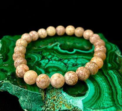 Fossil Coral Bracelet – Natural Grounding Stone for Stability & Calm
