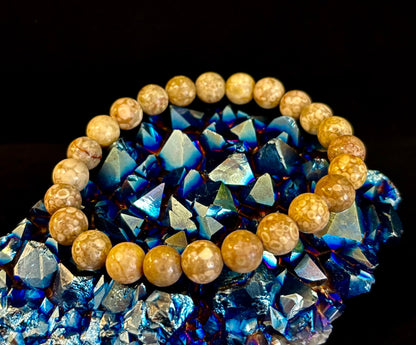 Fossil Coral Bracelet – Natural Grounding Stone for Stability & Calm