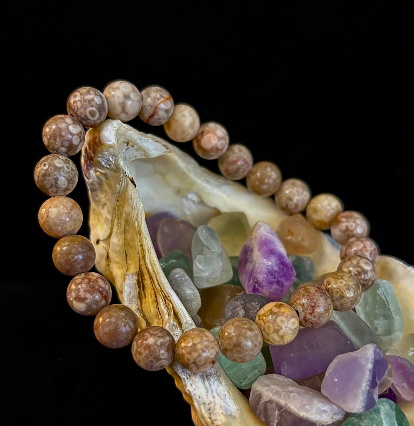 Fossil Coral Bracelet – Natural Grounding Stone for Stability & Calm