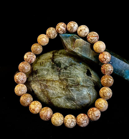 Fossil Coral Bracelet – Natural Grounding Stone for Stability & Calm
