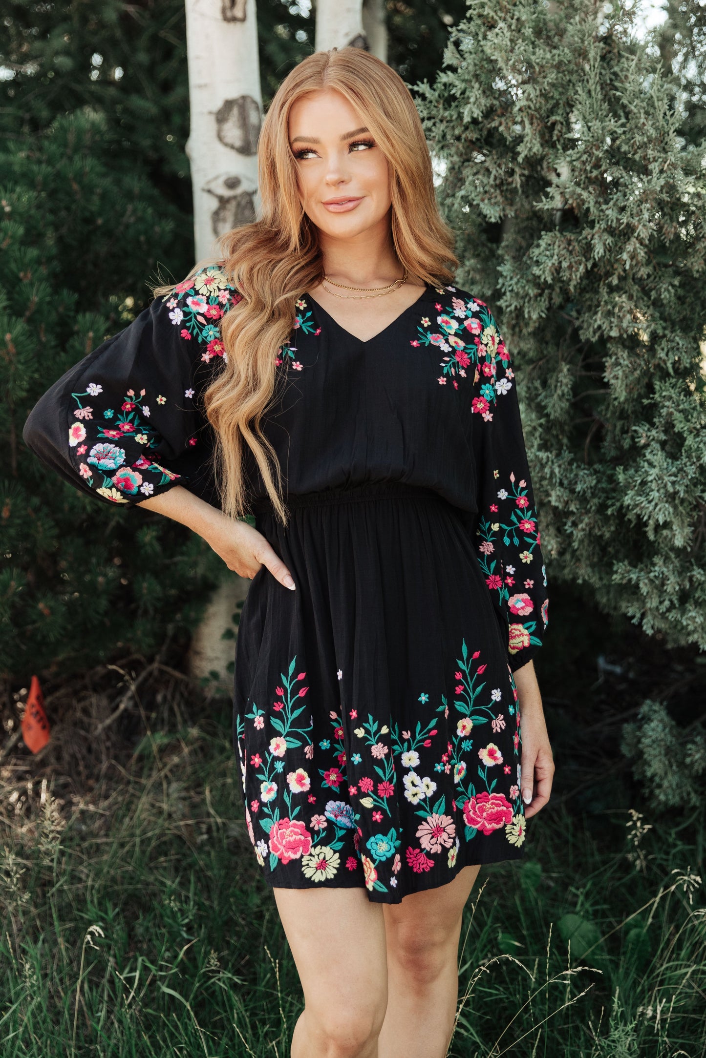 Happy To See You Floral Embroidered Dress