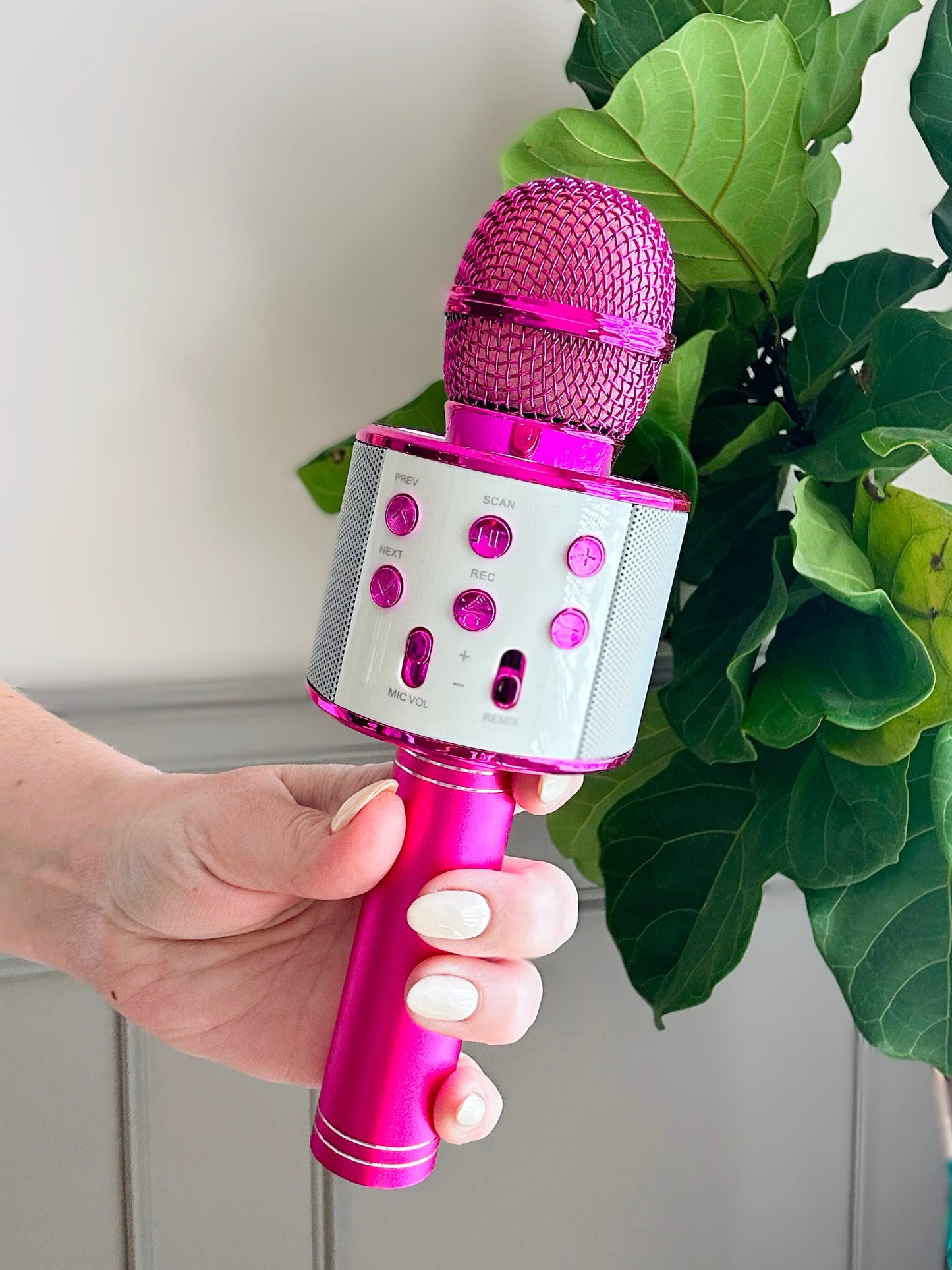 Rockstar Karaoke Microphone in Assorted Colors